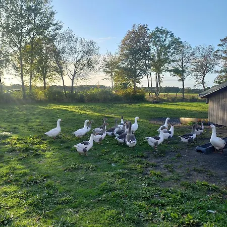 Daire Weidehof Kleiner Heuboden Jübek